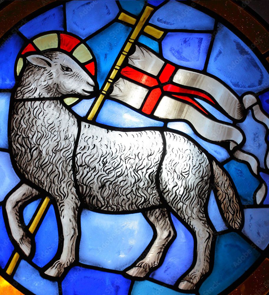 WhatsApp Image 2026-03-26 at 21.25.10.jpeg